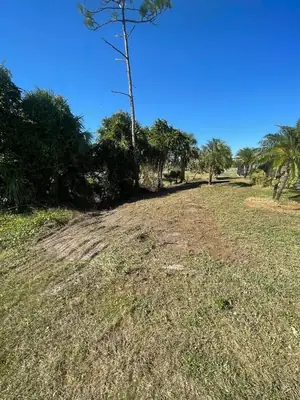 Same lot cut back to open ground after brush hogging