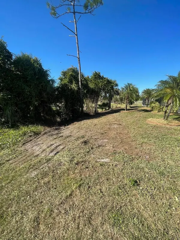 Same lot cut back to open ground after brush hogging