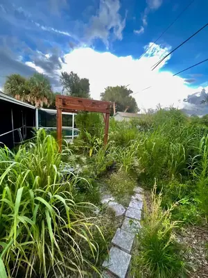 Side yard with tall overgrown grasses around a stone path