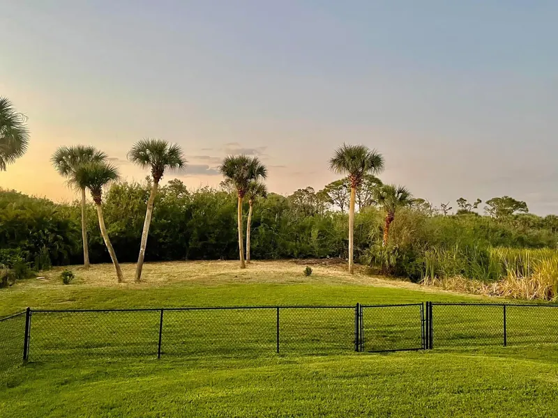 Same fence line cleared to open lawn with palms left standing