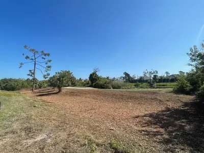 Wooded lot cleared down to open ground