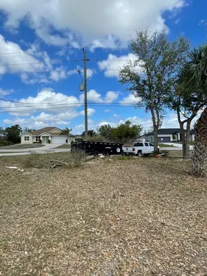 Lot cleaned up under the trees with the dump trailer on site
