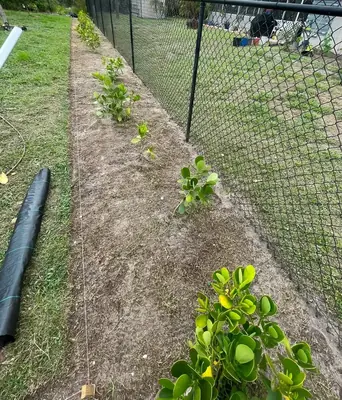 Fence line graded and prepped with new plants before rock and mulch
