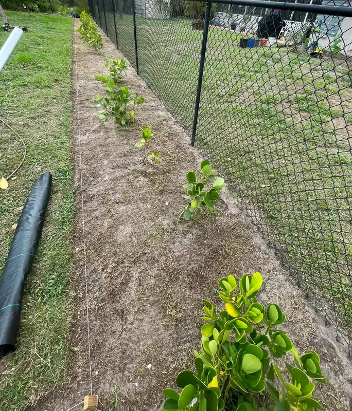 Fence line graded and prepped with new plants before rock and mulch