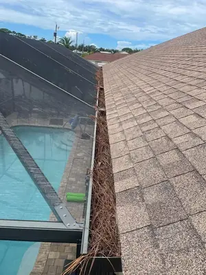 Gutter beside a pool cage full of leaves before cleaning