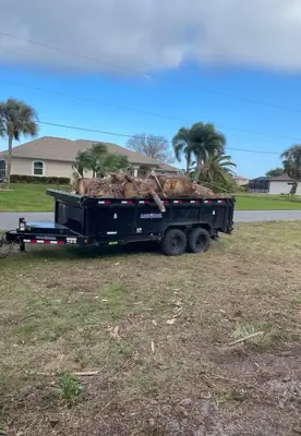Dump trailer loaded with palm fronds and yard debris