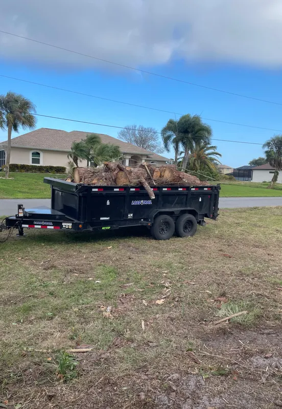 Dump trailer loaded with palm fronds and yard debris