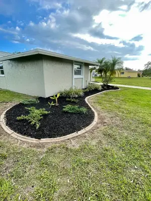 Same bed finished with black mulch, plants and edging