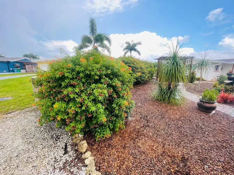 Mulch garden bed with flowering shrubs and a gravel border