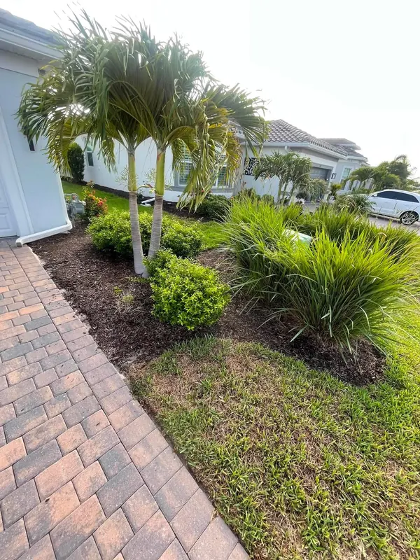 Mulch bed with palms and shrubs along a paver walkway
