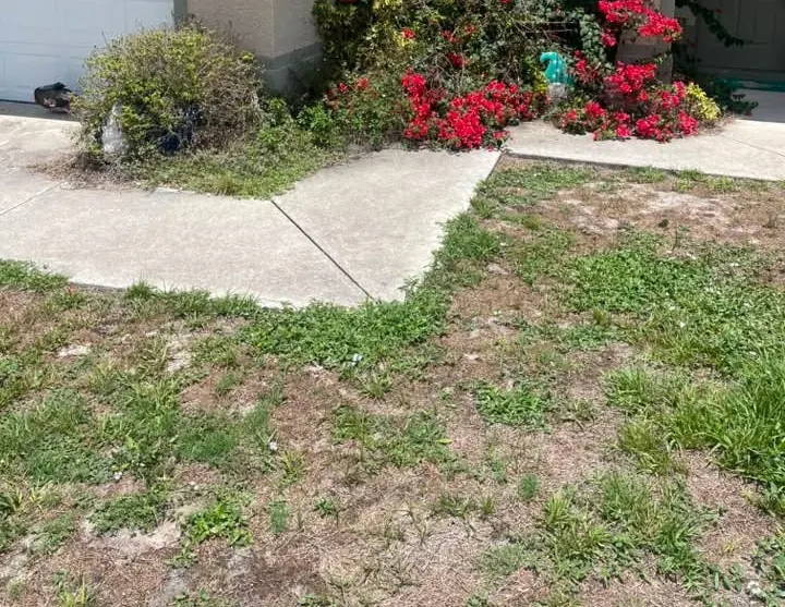 Overgrown entry bed beside a garage before rock install