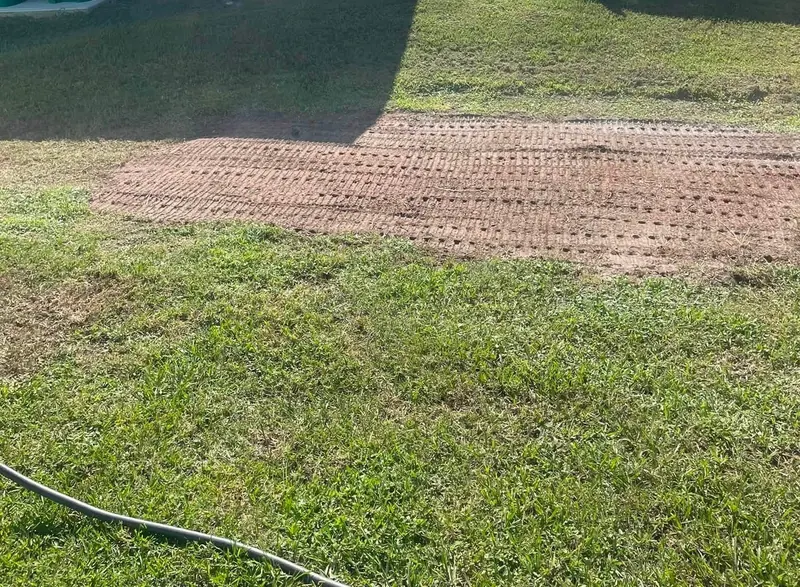 Fresh sod pieces laid in a front yard