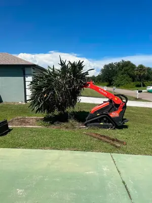 Skid steer grading a yard by a palm