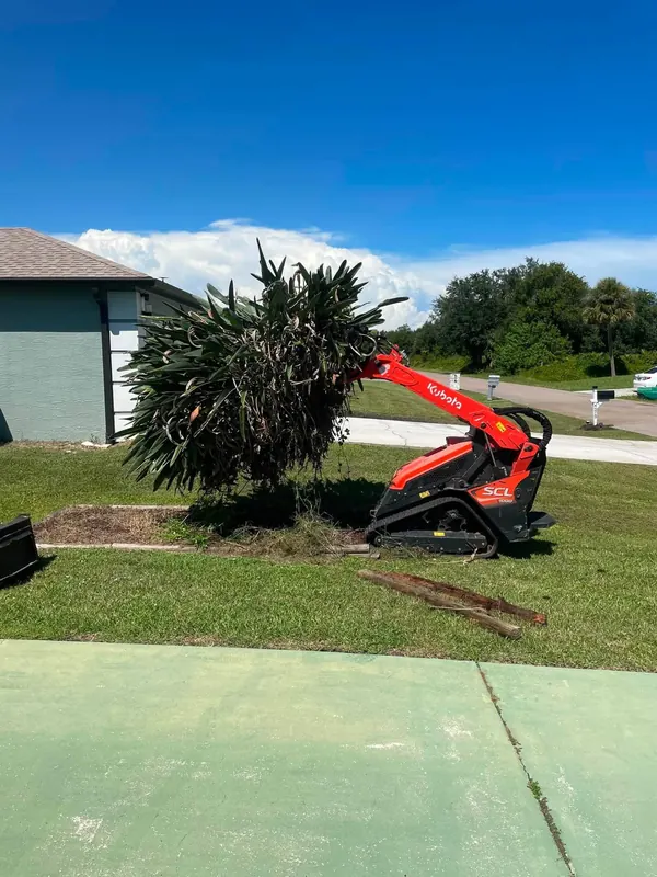 Skid steer grading a yard by a palm