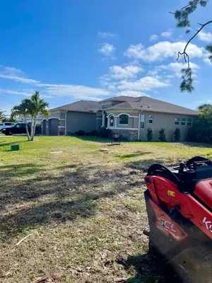 Same side yard with the dead pine taken down and cleaned up