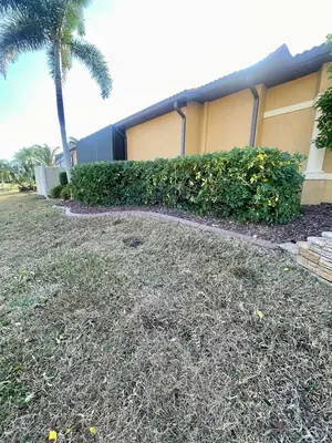 Same shrubs trimmed into neat hedges along the home