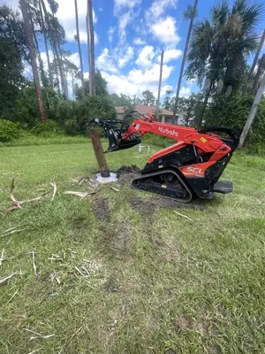 Mini skid steer with a grapple working on a tree removal job