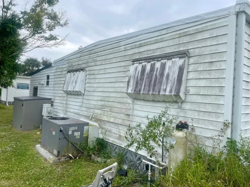 Vinyl siding with green algae before house washing
