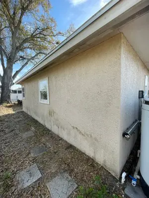 Stucco wall with dark mildew stains before soft washing
